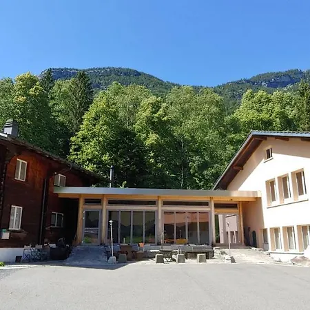 أوفيم إيغ فيرينفونونغ *