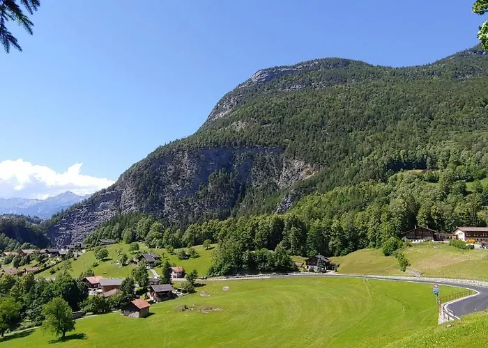 أوفيم إيغ فيرينفونونغ *