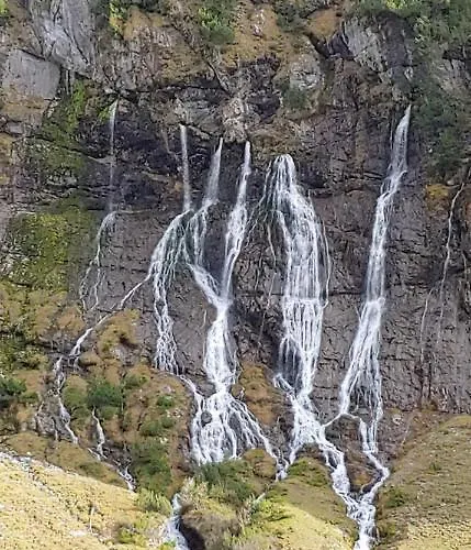 أوفيم إيغ فيرينفونونغ *