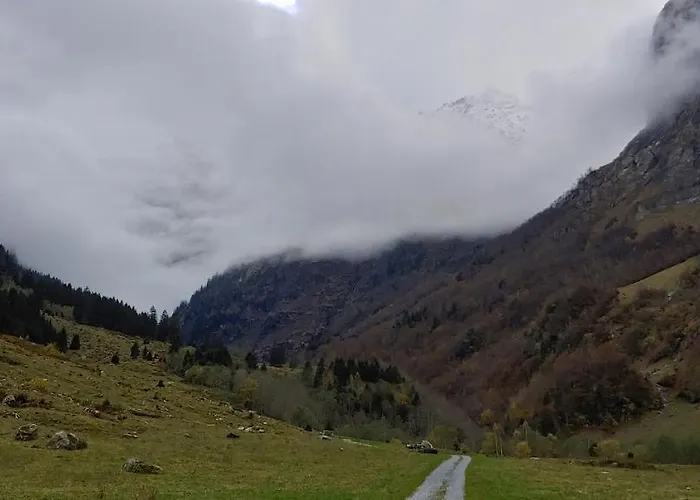 أوفيم إيغ فيرينفونونغ شقة انترتكيرشن