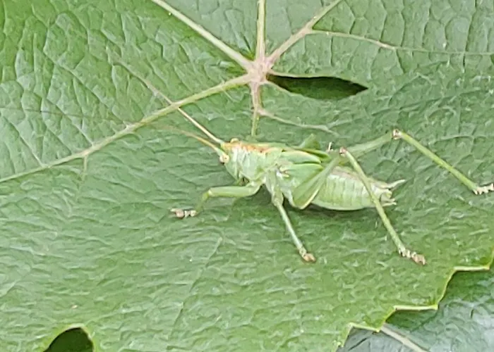 شقة أوفيم إيغ فيرينفونونغ