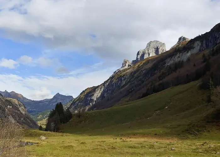 أوفيم إيغ فيرينفونونغ