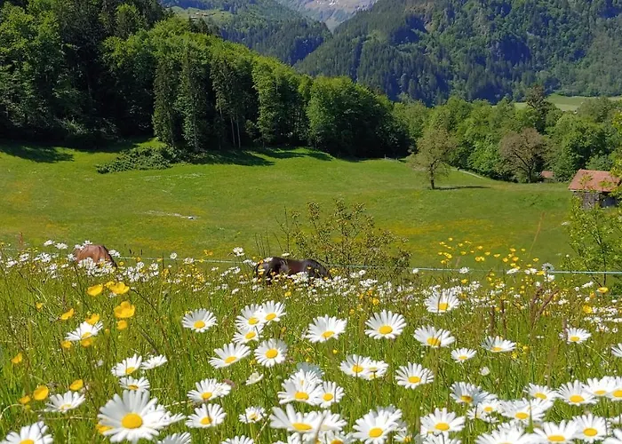 شقة أوفيم إيغ فيرينفونونغ *