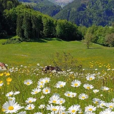 شقة أوفيم إيغ فيرينفونونغ *